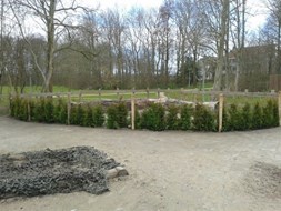 NL doet I
