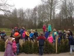 NL doet II