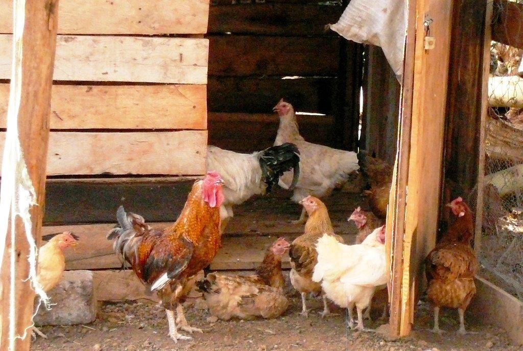 Vastendoosjes inleveren