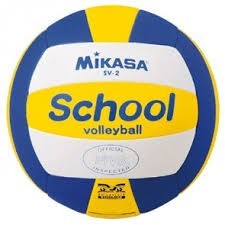 Schoolvolleybal