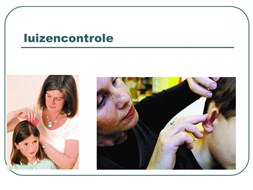 luizencontrole2