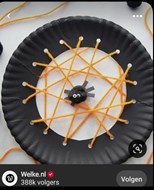 spinnenweb