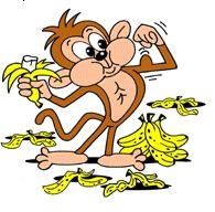 Het 10e Langedijker/D&W Kampioenschap Apenkooi.