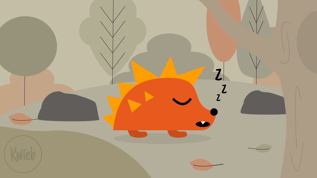 Online bijeenkomst: Heeft je puber moeite met opstaan?